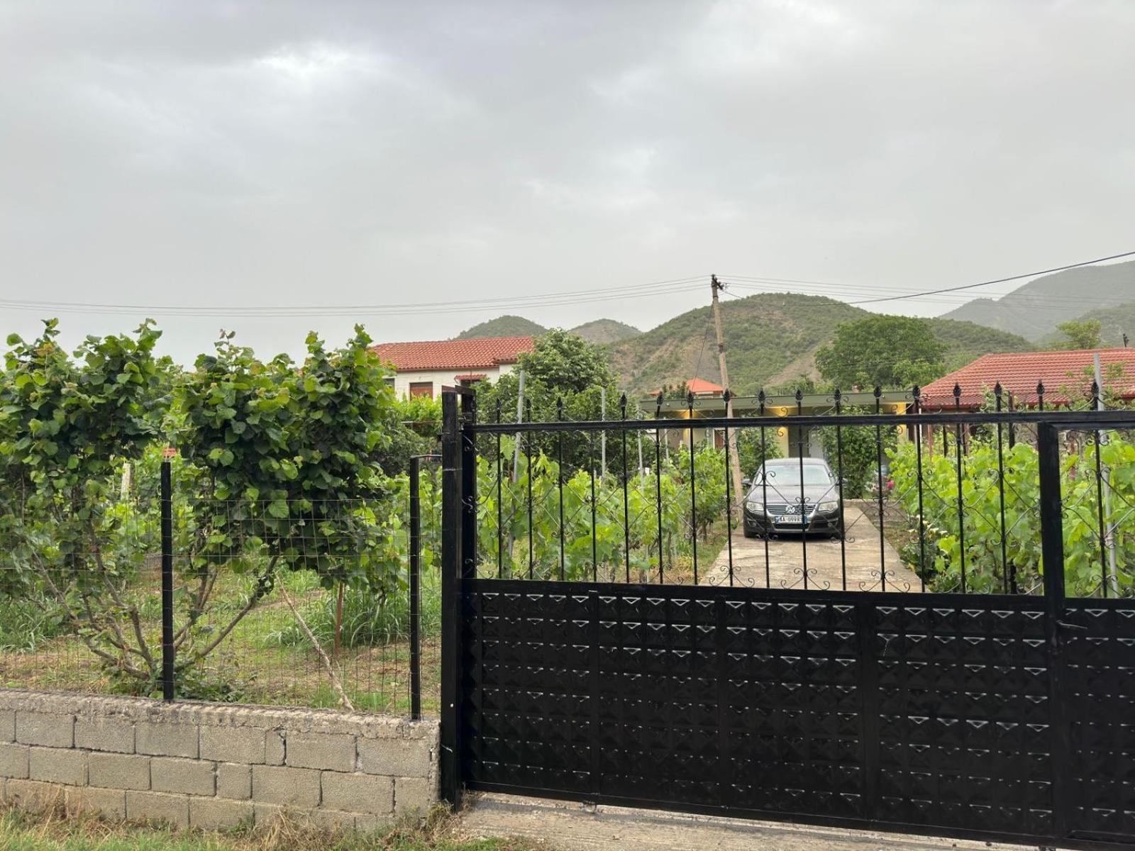 Green House Permet Bagian luar foto
