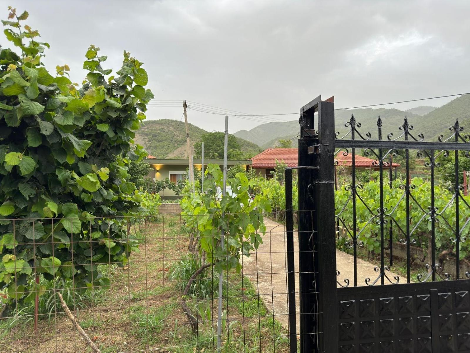 Green House Permet Bagian luar foto